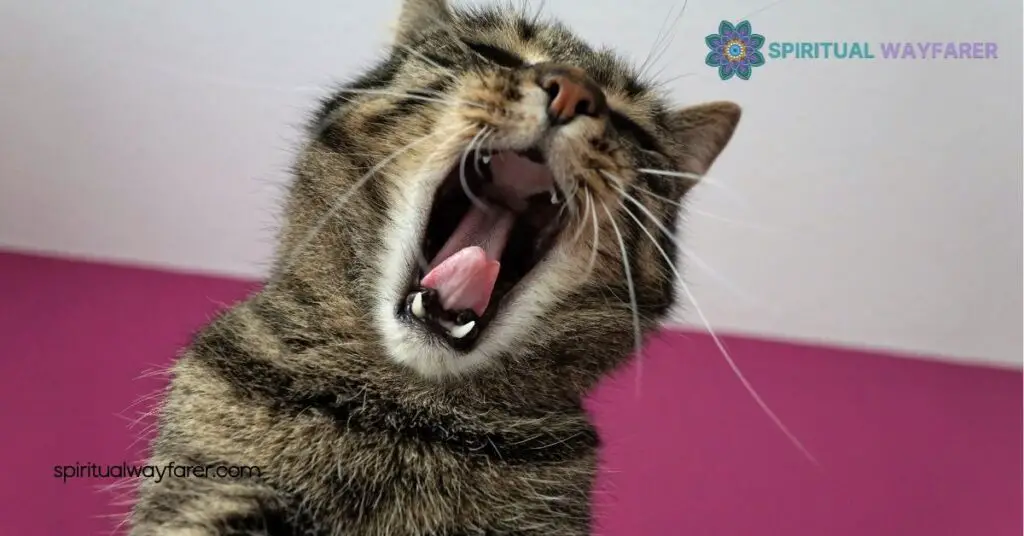 Cat Symbolism Explained: From Ancient Egypt to Modern Culture 4 Psychological Interpretations
