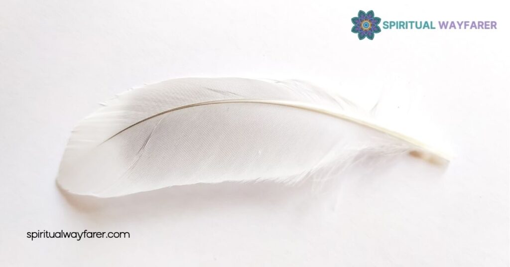 Dove Feather Meaning: Symbolism, History & Spiritual Significance 4 Psychological Meaning