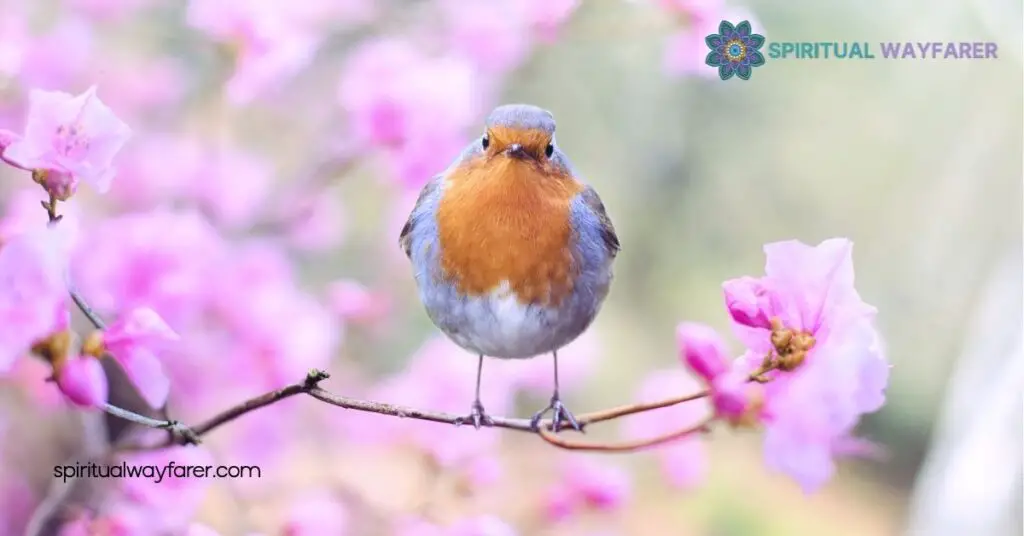 Robin Symbolism Explained: Uncover the Hidden Meanings Behind These Beloved Birds 4 Psychological Meaning