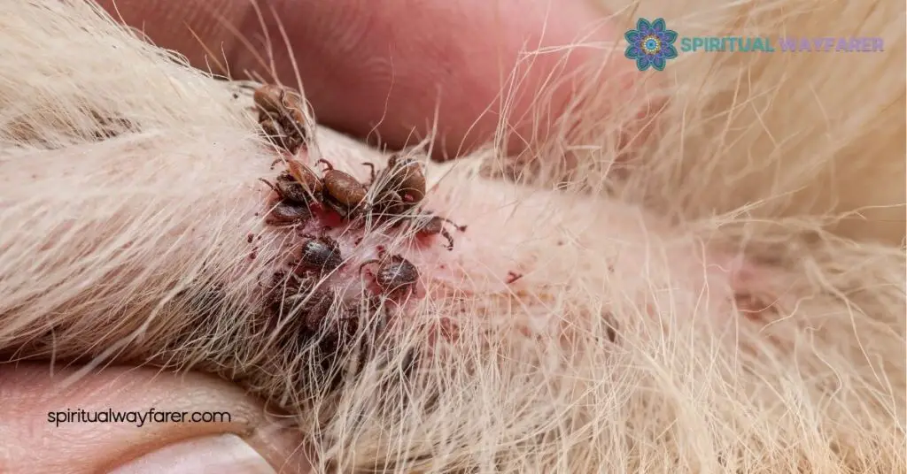 Understanding the Symbolism of Ticks: From Persistence to Hidden Dangers 3 Psychological Perspectives