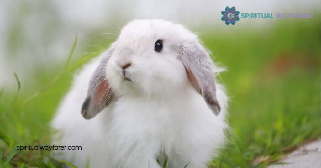 10 Surprising Rabbit Symbolism Facts You Never Knew 4 Rabbit Symbolism In Literature And Art