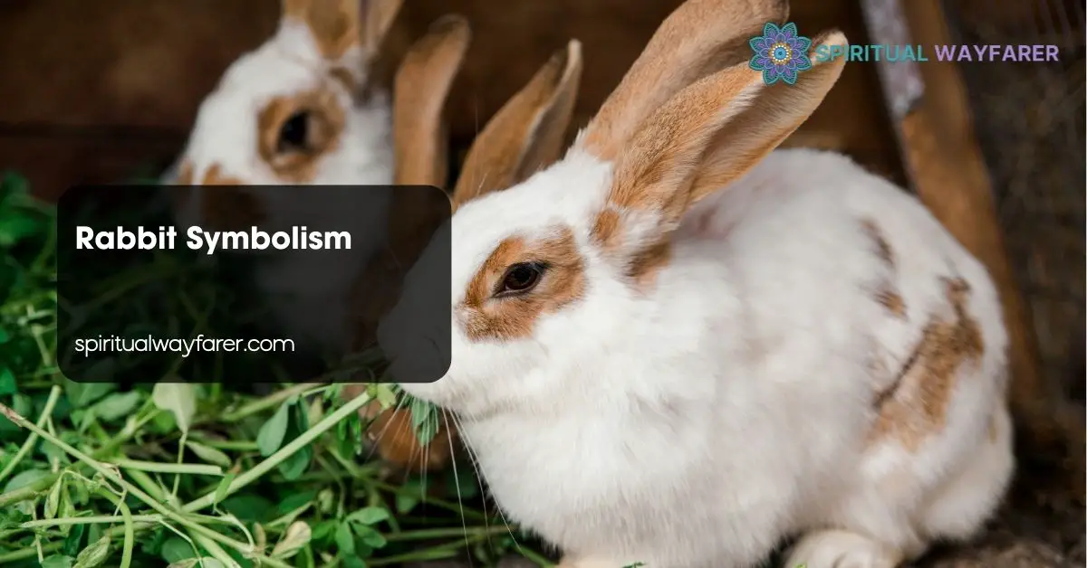 Rabbit Symbolism