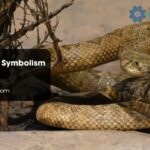 Rattlesnake Symbolism