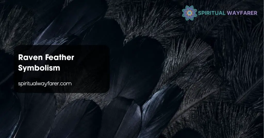 Raven Feather Symbolism