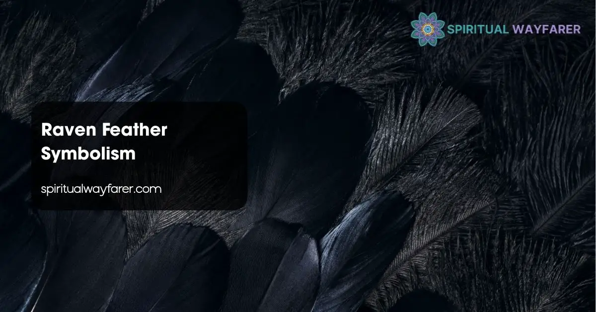 Raven Feather Symbolism