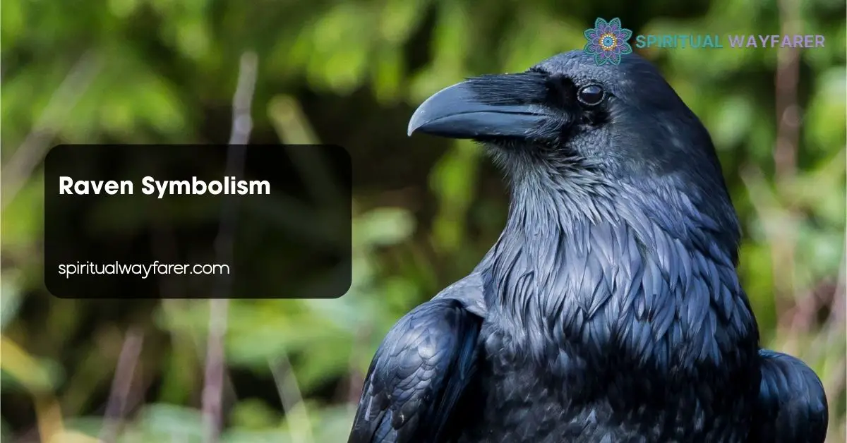 Raven Symbolism