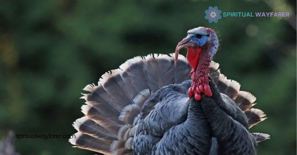 Unveiling Turkey Symbolism: From Ancient Myths to Modern Traditions 4 Regional Variations