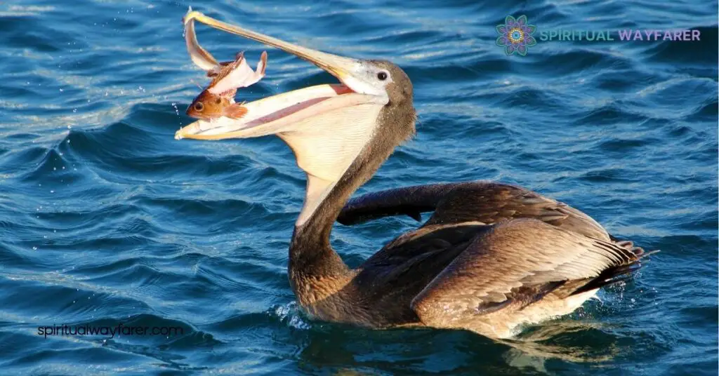 Pelican Symbolism: Exploring the Deep Meanings in Culture, Art & Religion 2 Religious Symbolism