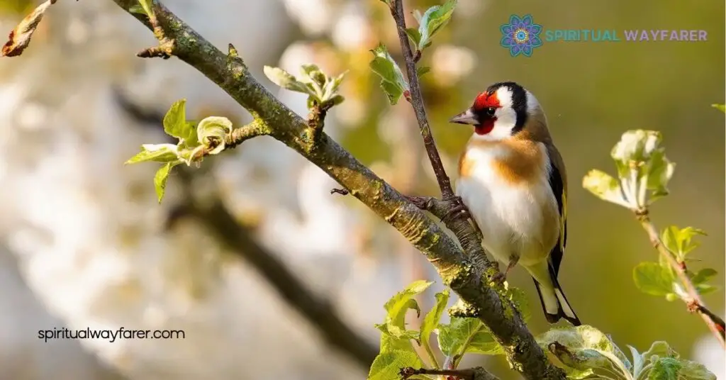 Goldfinch Symbolism Revealed: Explore Its Meaning in Art, Culture & More 4 Representation in Popular Media