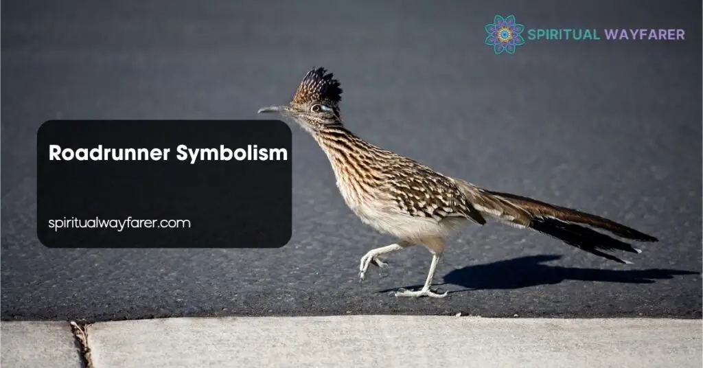 Roadrunner Symbolism
