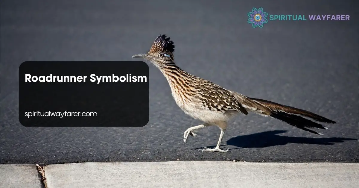 Roadrunner Symbolism