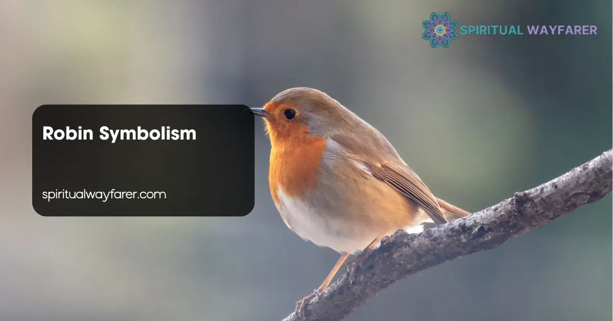 Robin Symbolism