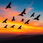 Rtf3dujM9dXVFYxyzGHQN