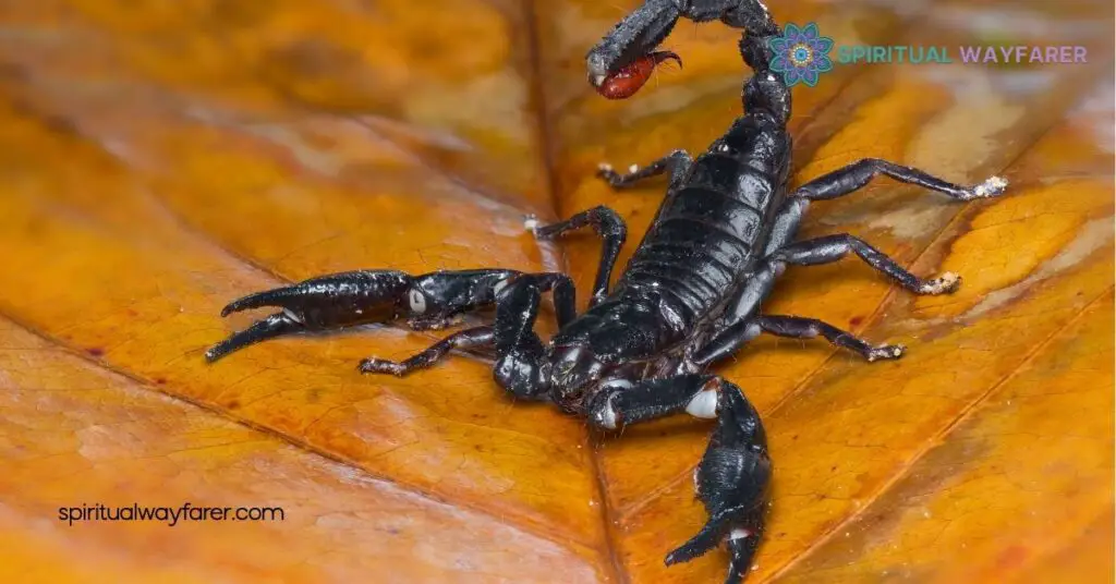Unlocking the Symbolic Meaning of a Scorpion: Transformation, Protection & More 4 Scorpions in Art and Literature