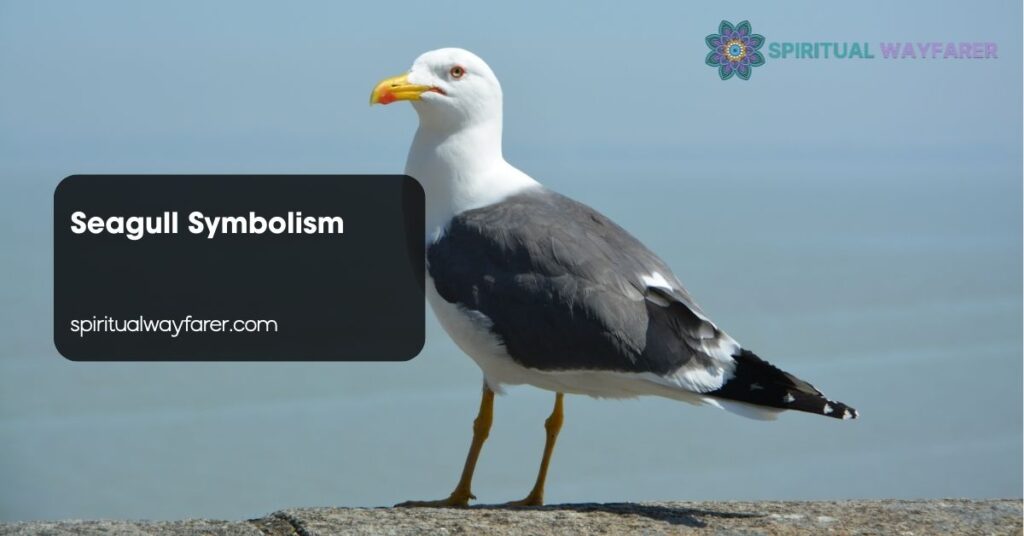 Seagull Symbolism