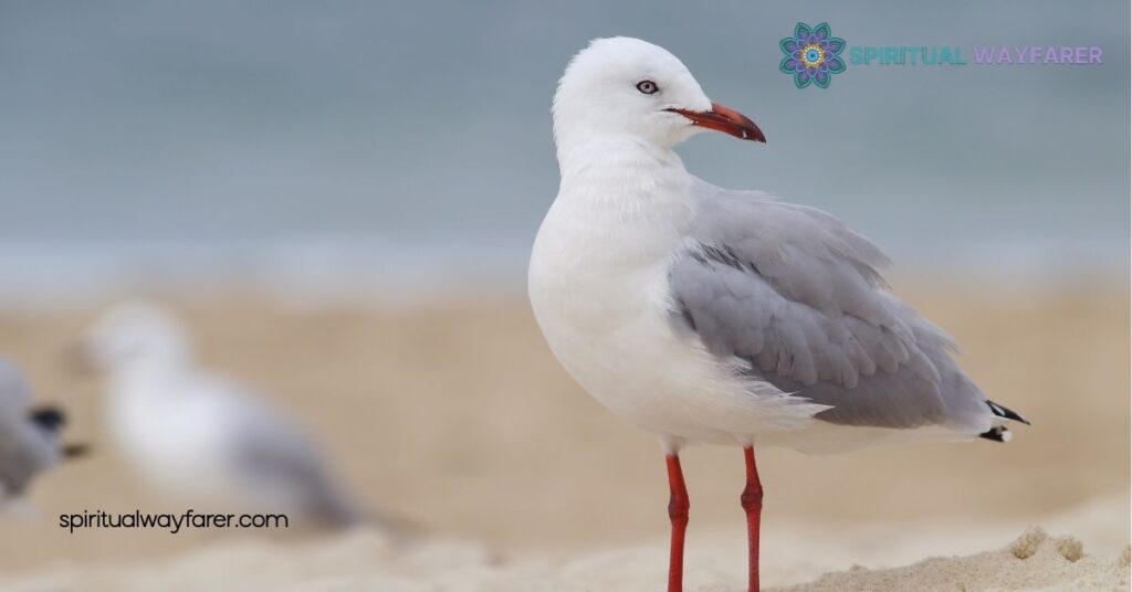 Unlocking the Hidden Meaning: Seagull Symbolism Explained 3 Seagulls In Literature And Art