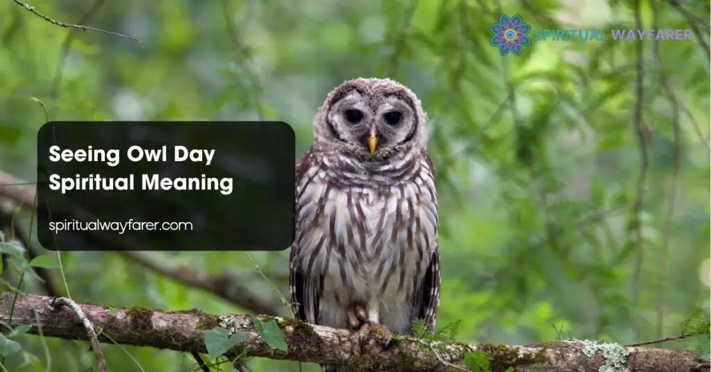 Seeing Owl Day Spiritual Meaning