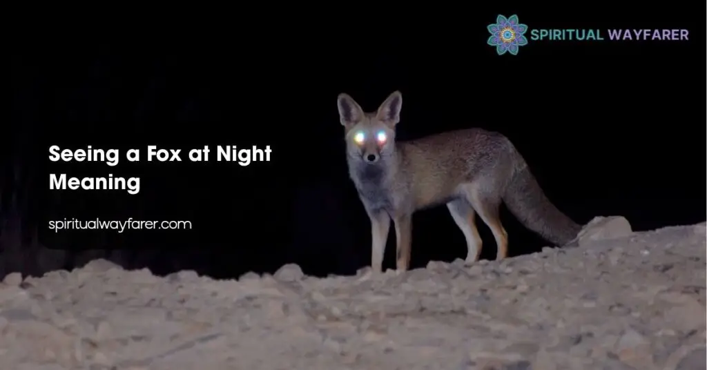 Seeing a Fox at Night Meaning