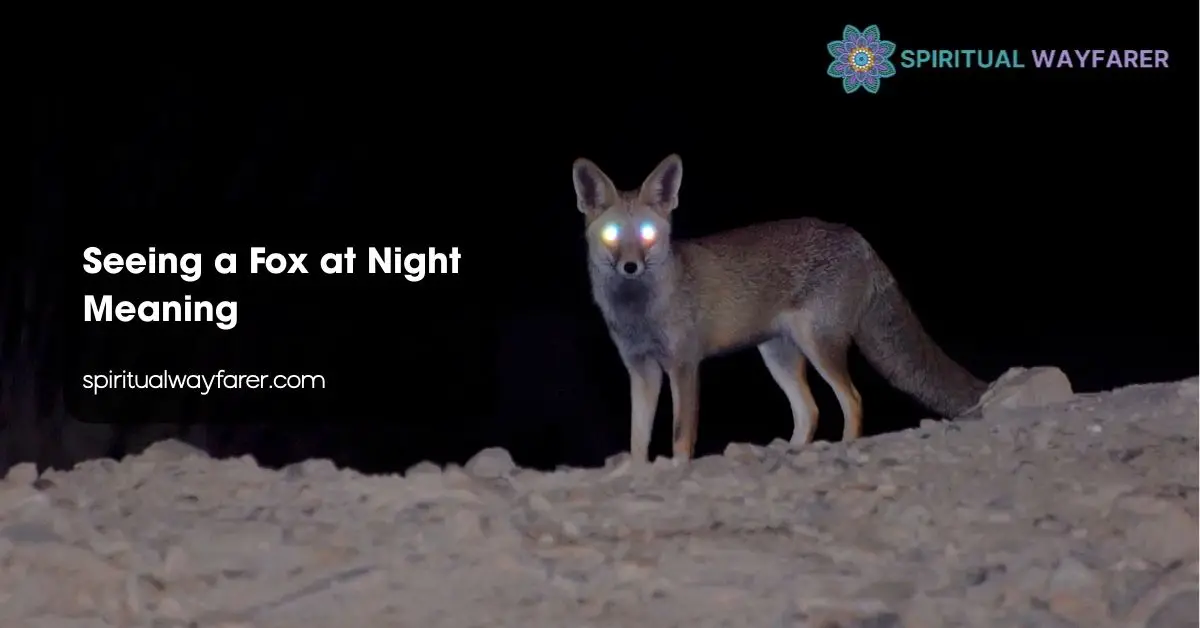 Seeing a Fox at Night Meaning