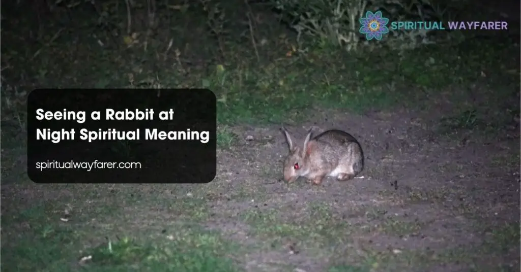 Seeing a Rabbit at Night Spiritual Meaning