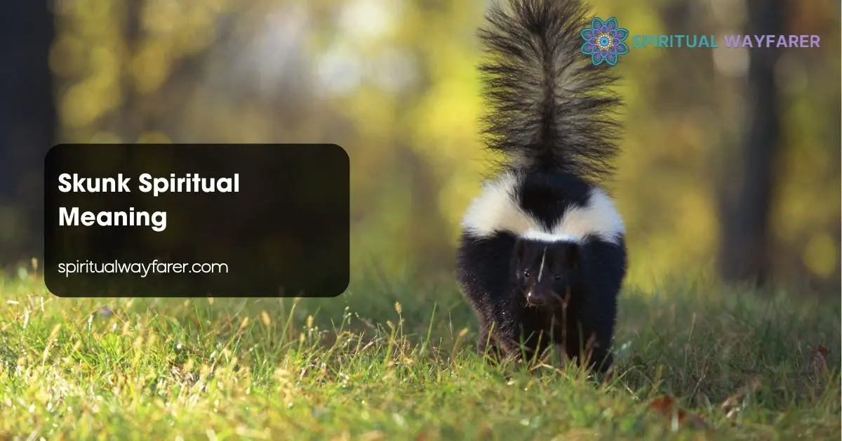 Skunk Spiritual Meaning