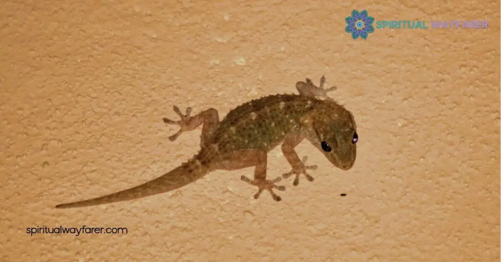 Brown Lizard Spiritual Meaning: Unlock Grounding, Resilience & Transformation 2 Spiritual Interpretations