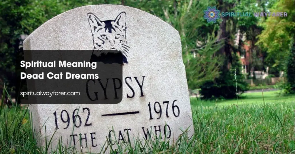 Spiritual Meaning Dead Cat Dreams