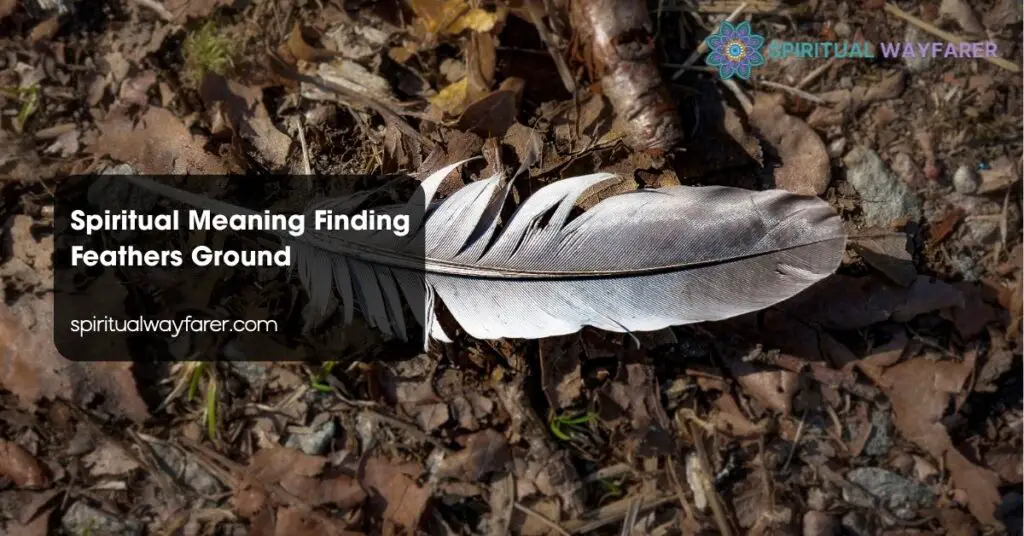 Spiritual Meaning Finding Feathers Ground