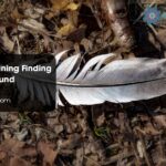 Spiritual Meaning Finding Feathers Ground