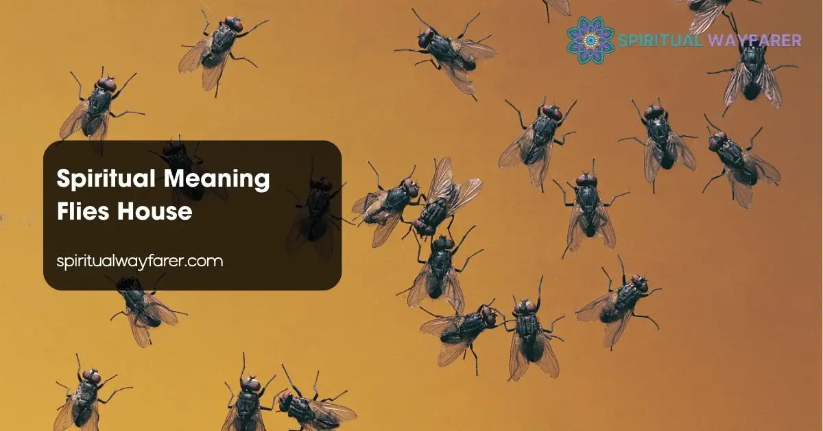 Spiritual Meaning Flies House