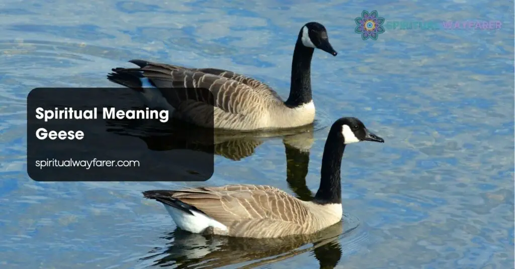 Spiritual Meaning Geese