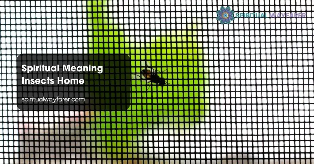 Spiritual Meaning Insects Home