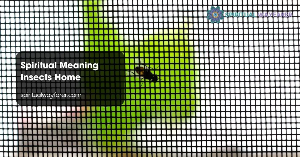 Spiritual Meaning Insects Home