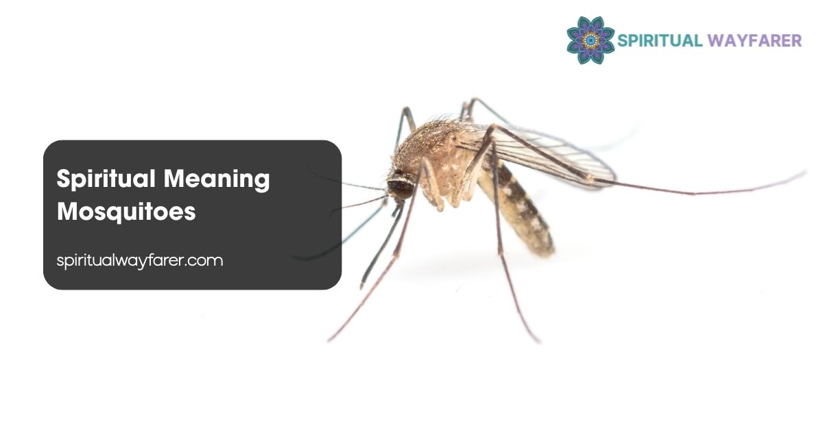 Spiritual Meaning Mosquitoes
