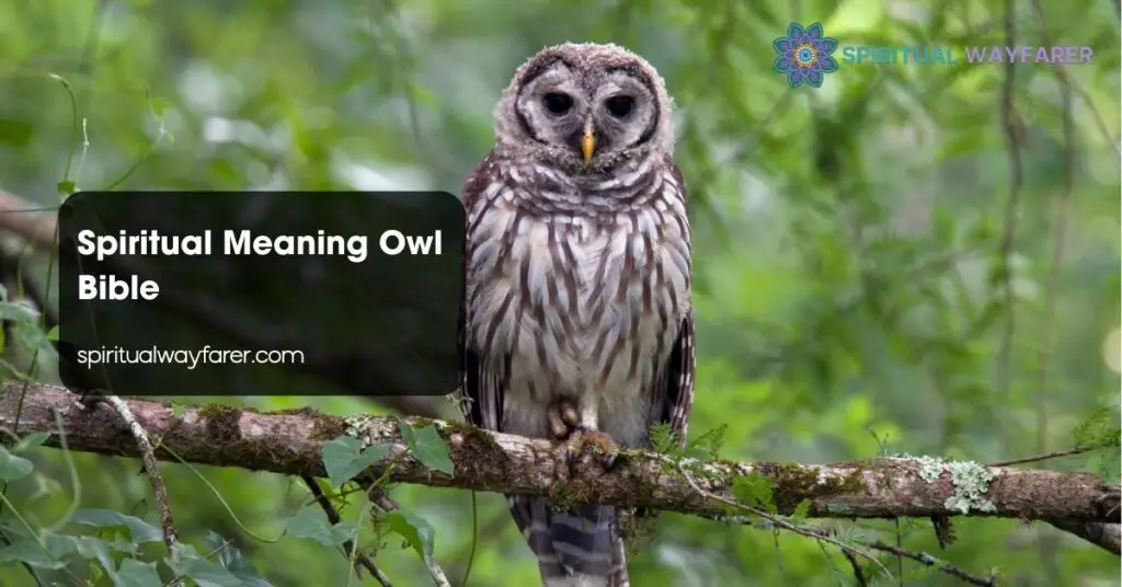 Spiritual Meaning Owl Bible