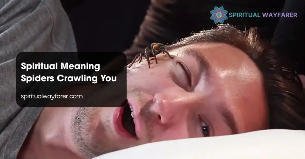 Spiritual Meaning Spiders Crawling You