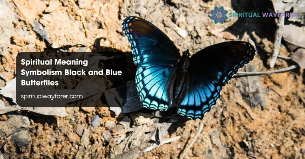 Spiritual Meaning Symbolism Black and Blue Butterflies