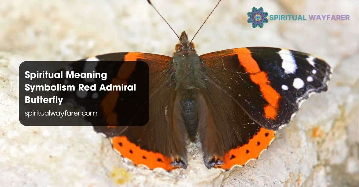 Spiritual Meaning Symbolism Red Admiral Butterfly