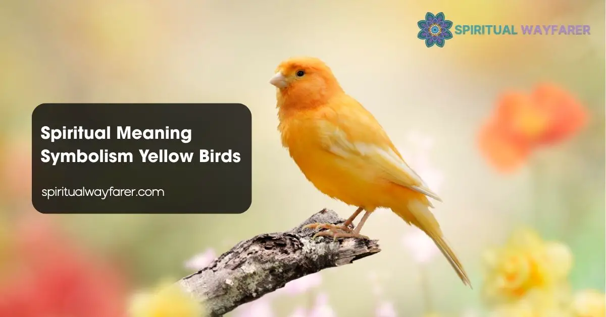 Spiritual Meaning Symbolism Yellow Birds