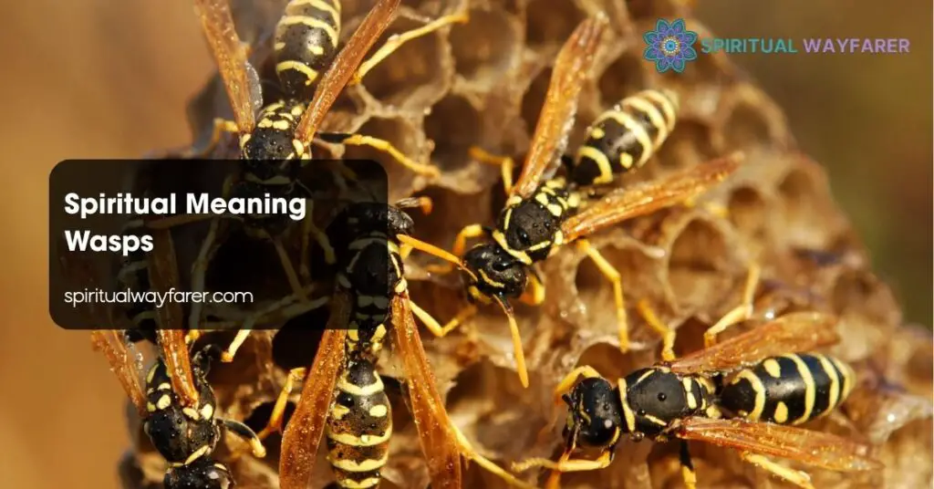 Spiritual Meaning Wasps