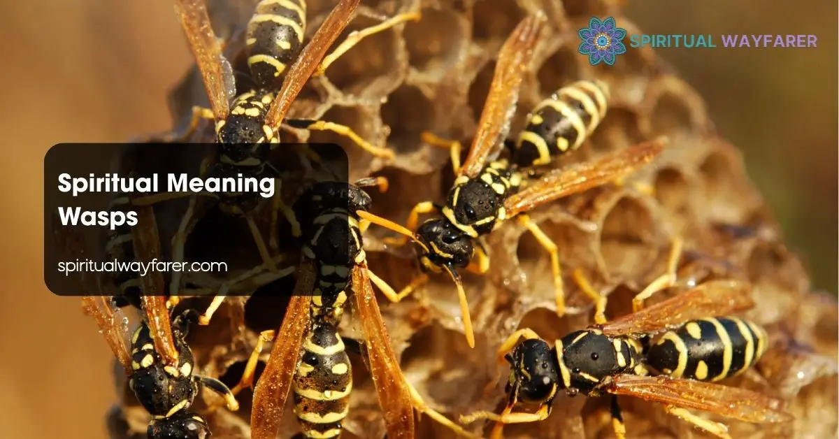 Spiritual Meaning Wasps