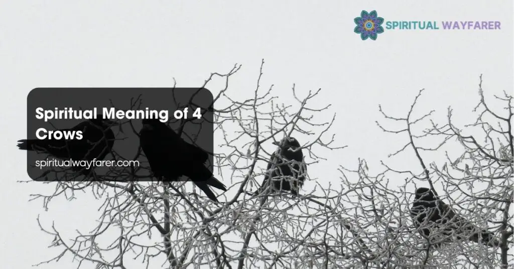 Spiritual Meaning of 4 Crows