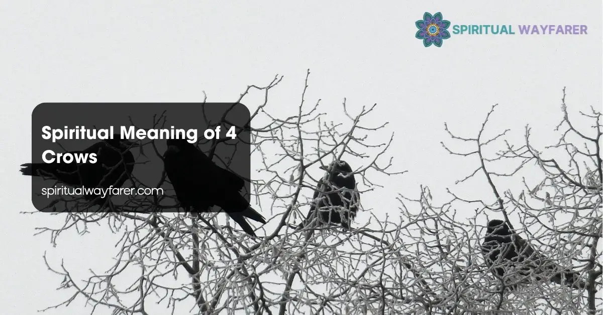 Spiritual Meaning of 4 Crows