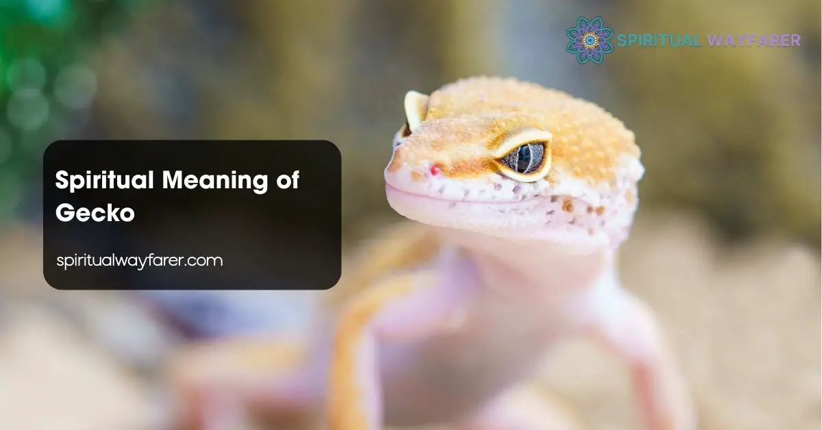 Spiritual Meaning of Gecko