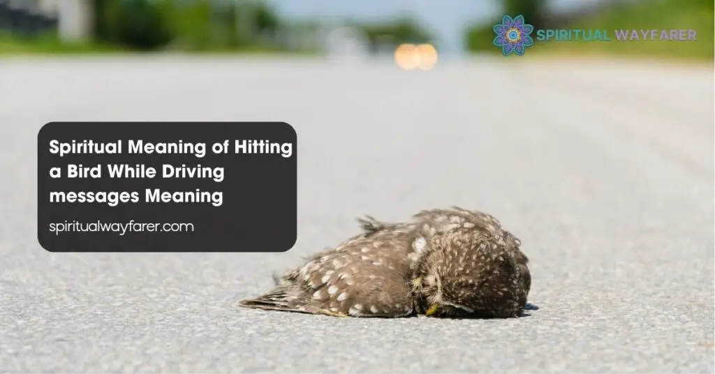 Spiritual Meaning of Hitting a Bird While Driving messages Meaning
