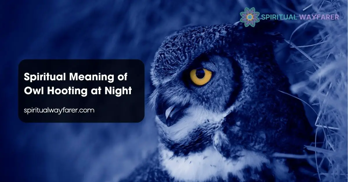Spiritual Meaning of Owl Hooting at Night