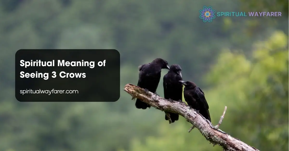 Spiritual Meaning of Seeing 3 Crows