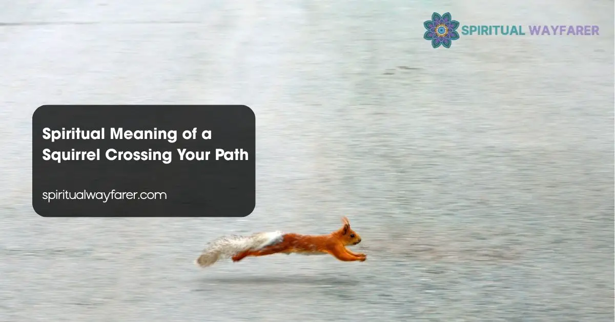 Spiritual Meaning of a Squirrel Crossing Your Path