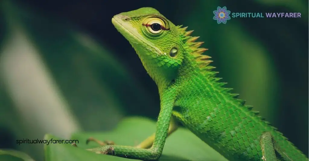Discover Lizard Symbolism: Resilience & Transformation Across Cultures 2 Spiritual and Mythological Meanings