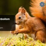 Squirrel Symbolism